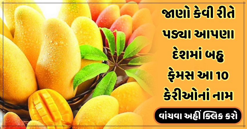જાણો કેવી રીતે પડ્યા આપણા દેશમાં બહુ ફેમસ આ 10 કેરીઓનાં નામ