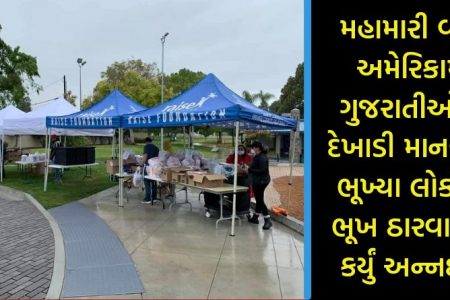 મહામારી વચ્ચે અમેરિકામાં ગુજરાતીઓએ દેખાડી માનવતા, ભૂખ્યા લોકોની ભૂખ ઠારવા શરૂ કર્યું અન્નદાન